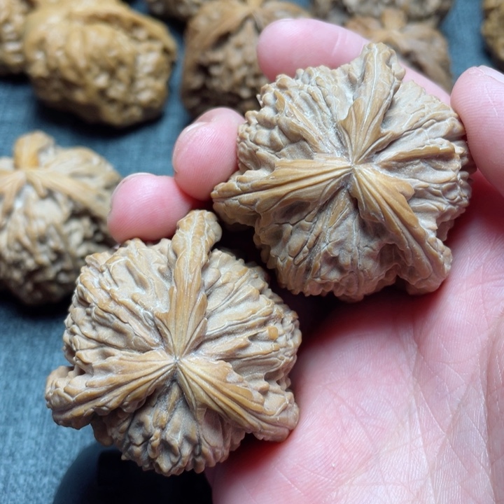 会***狼工艺三棱白狮子三棱