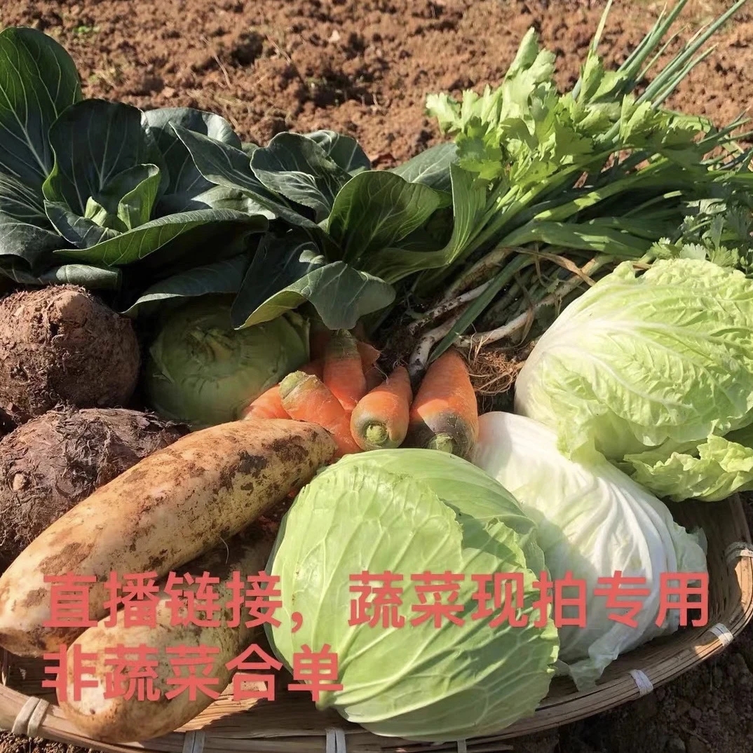 14四川农户自产山货土特产