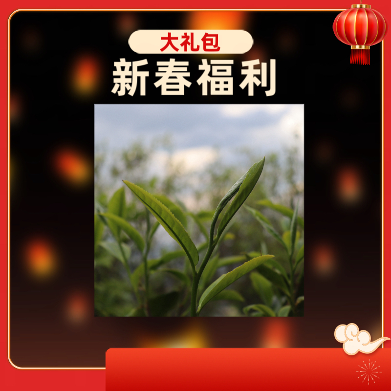 【新春福利】曼岗大箐38号新年茶叶大礼包