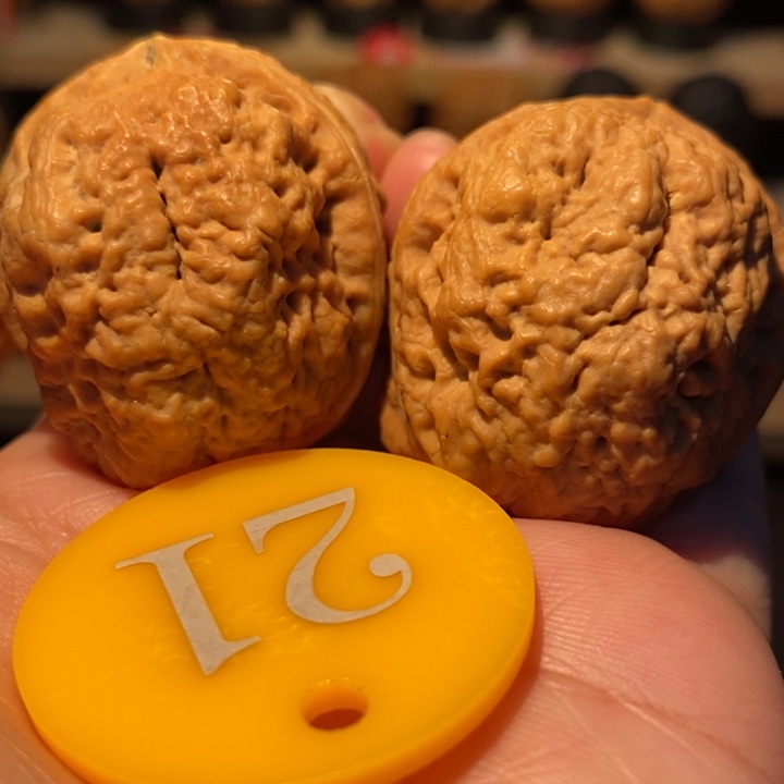 木质类七彩金貔貅37尺寸，龟背