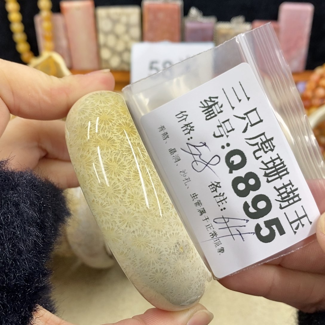 硅化珊瑚（珊瑚玉）1未镶嵌晨*