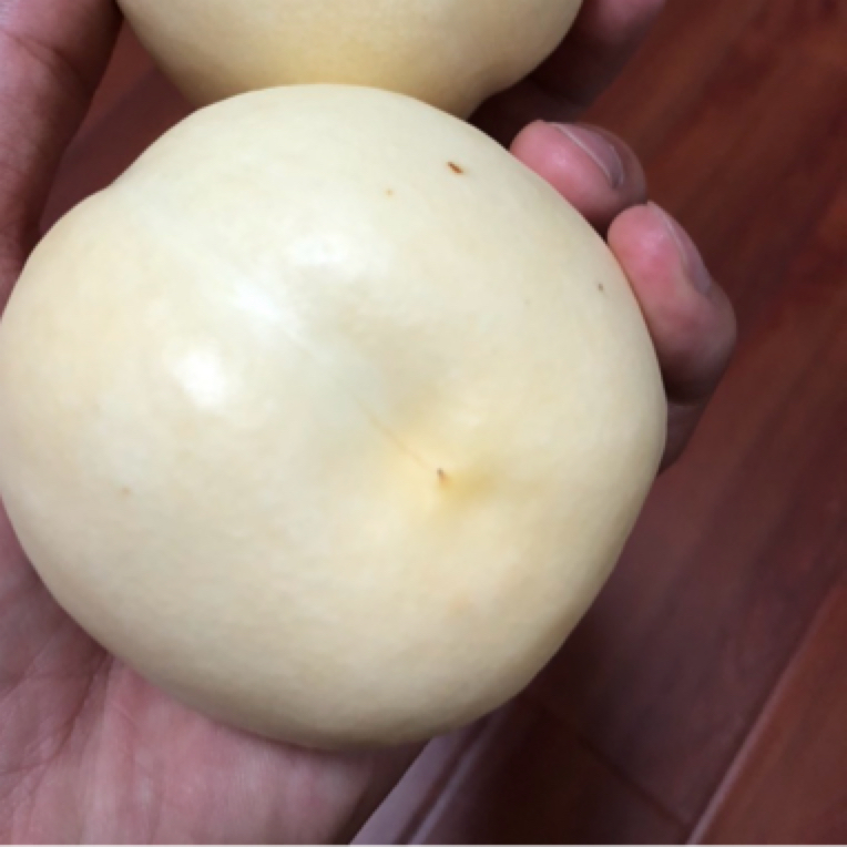 混搭两种 奶油油桃六月十号成熟➕奶油蟠桃六月二十号成熟