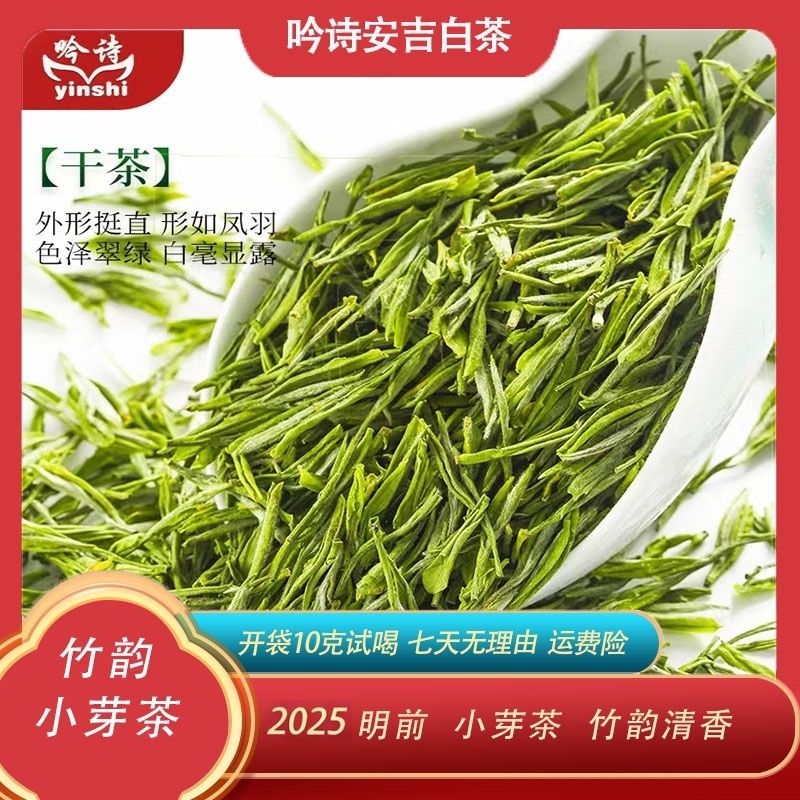 【竹韵安吉白茶】2025新茶春茶小芽醇香新茶原产地鲜爽特级毛尖茶叶