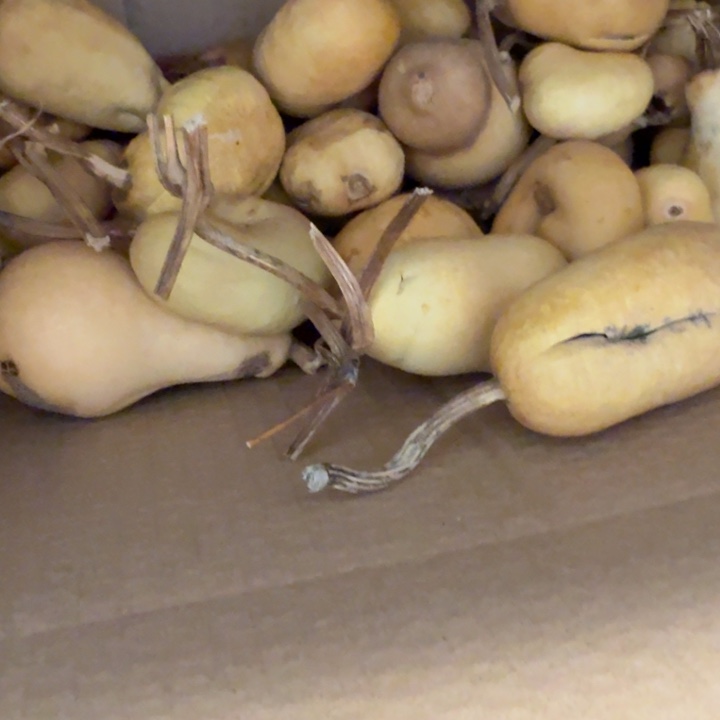 兔****66666666666666766