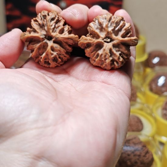 文玩核桃把件0***0苹果园狮子头