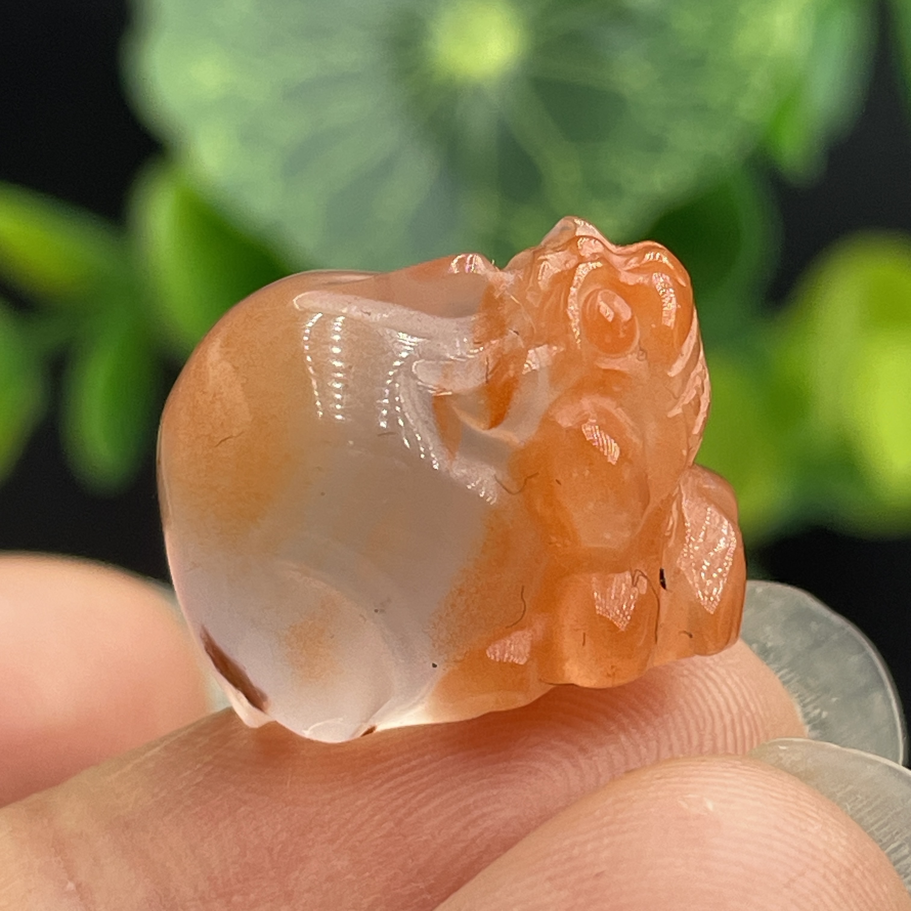 正宗南红玛瑙貔貅吊坠川料冰飘貔貅吊坠貔貅小吊坠尺寸18×14挂坠