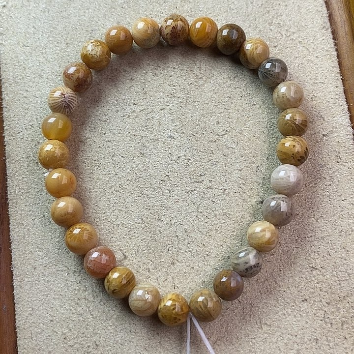 硅化玉颈饰未镶嵌