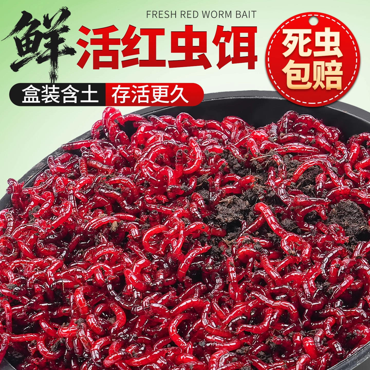 【挂钩特大号】顺丰快递/全国2天到/死虫包赔。
