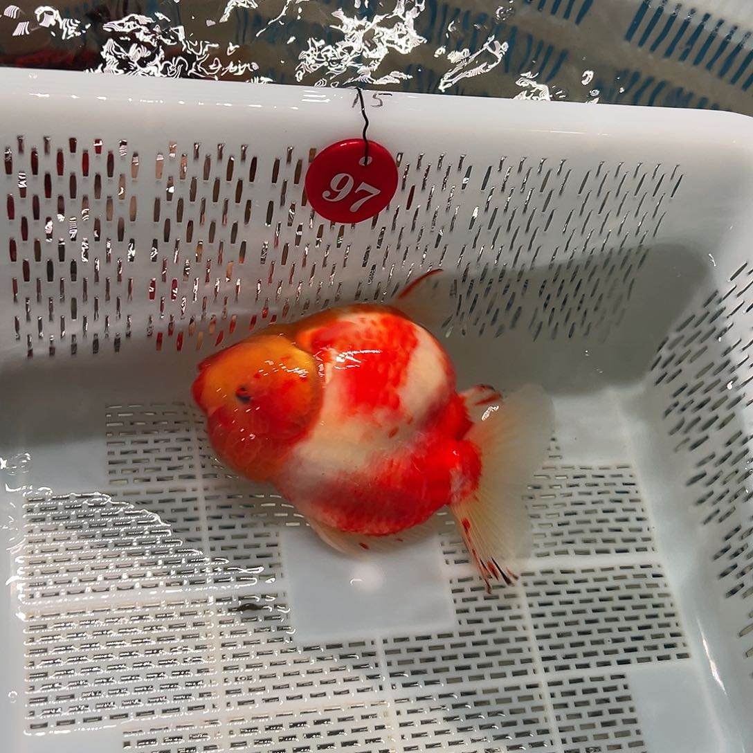 浮***生抖音上的小伙伴们都在说