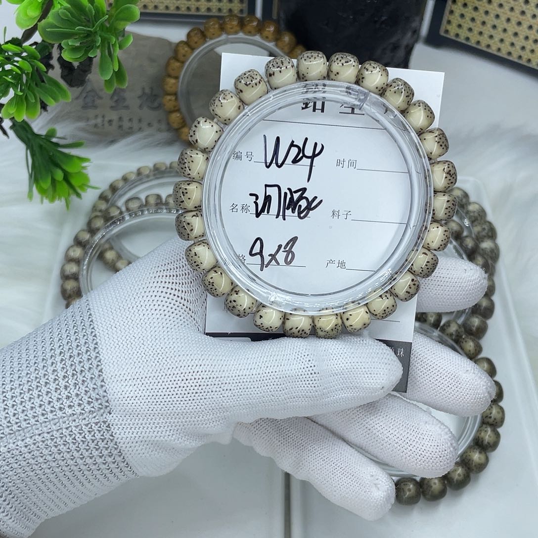 菩提籽类W24 河豚 9