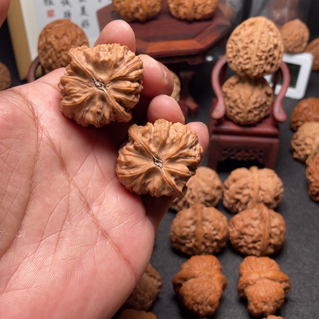 文玩核桃吊坠37御龙粗筋