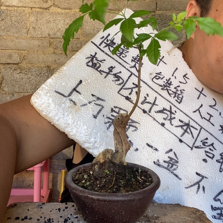 退款拉黑一物一拍14