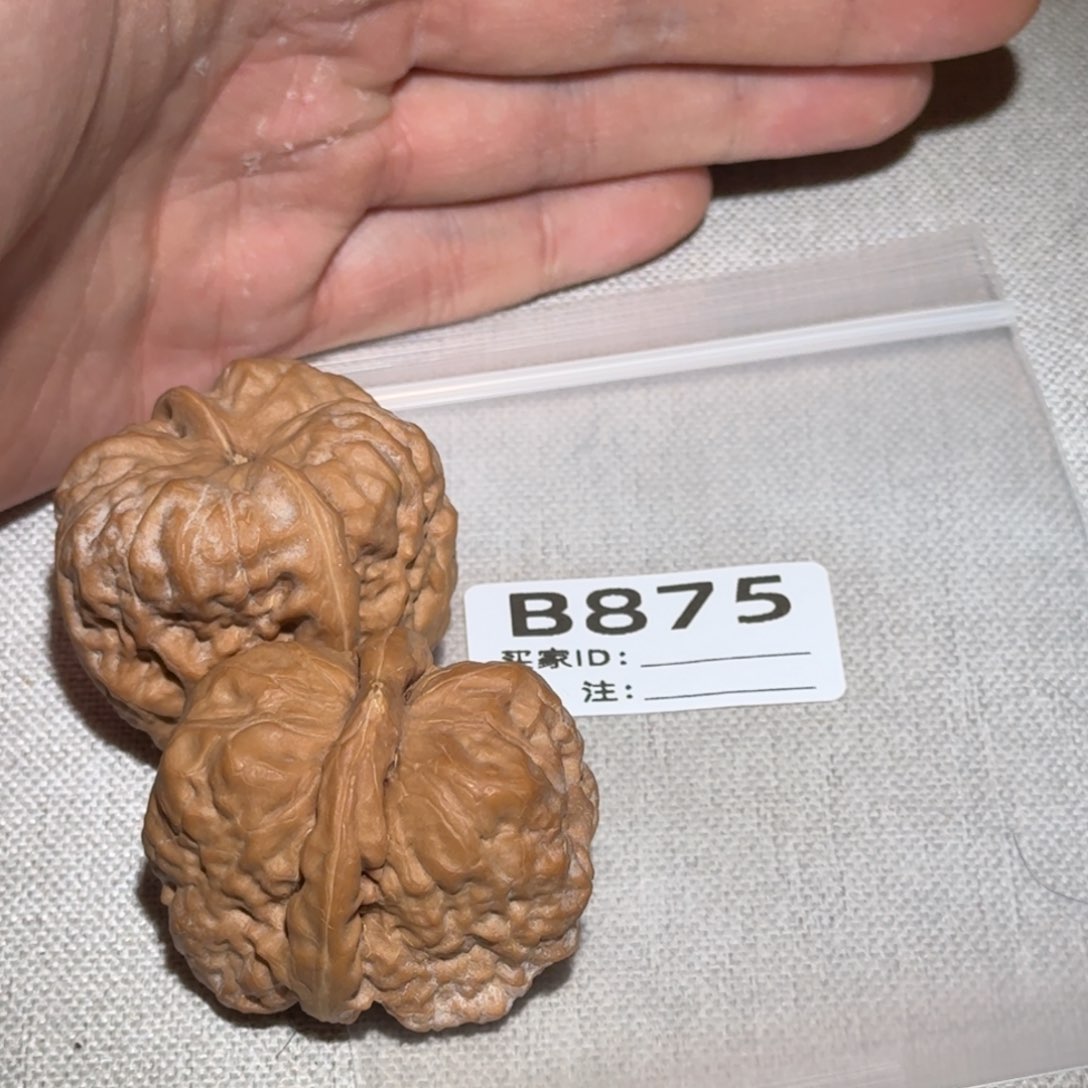 文玩核桃吊坠蛤蟆头875