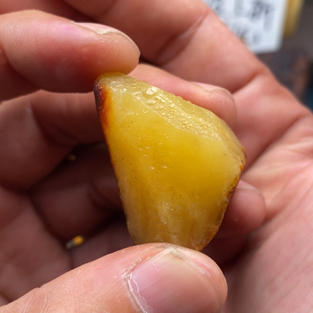 定制琥珀未镶嵌天然蜜蜡