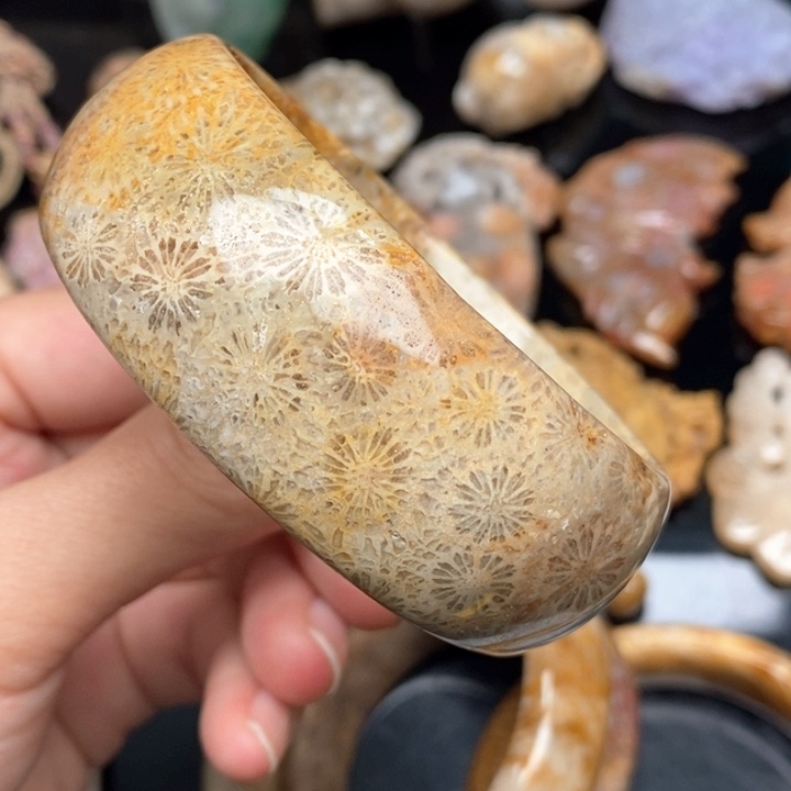 硅化珊瑚（珊瑚玉）手镯未镶嵌56