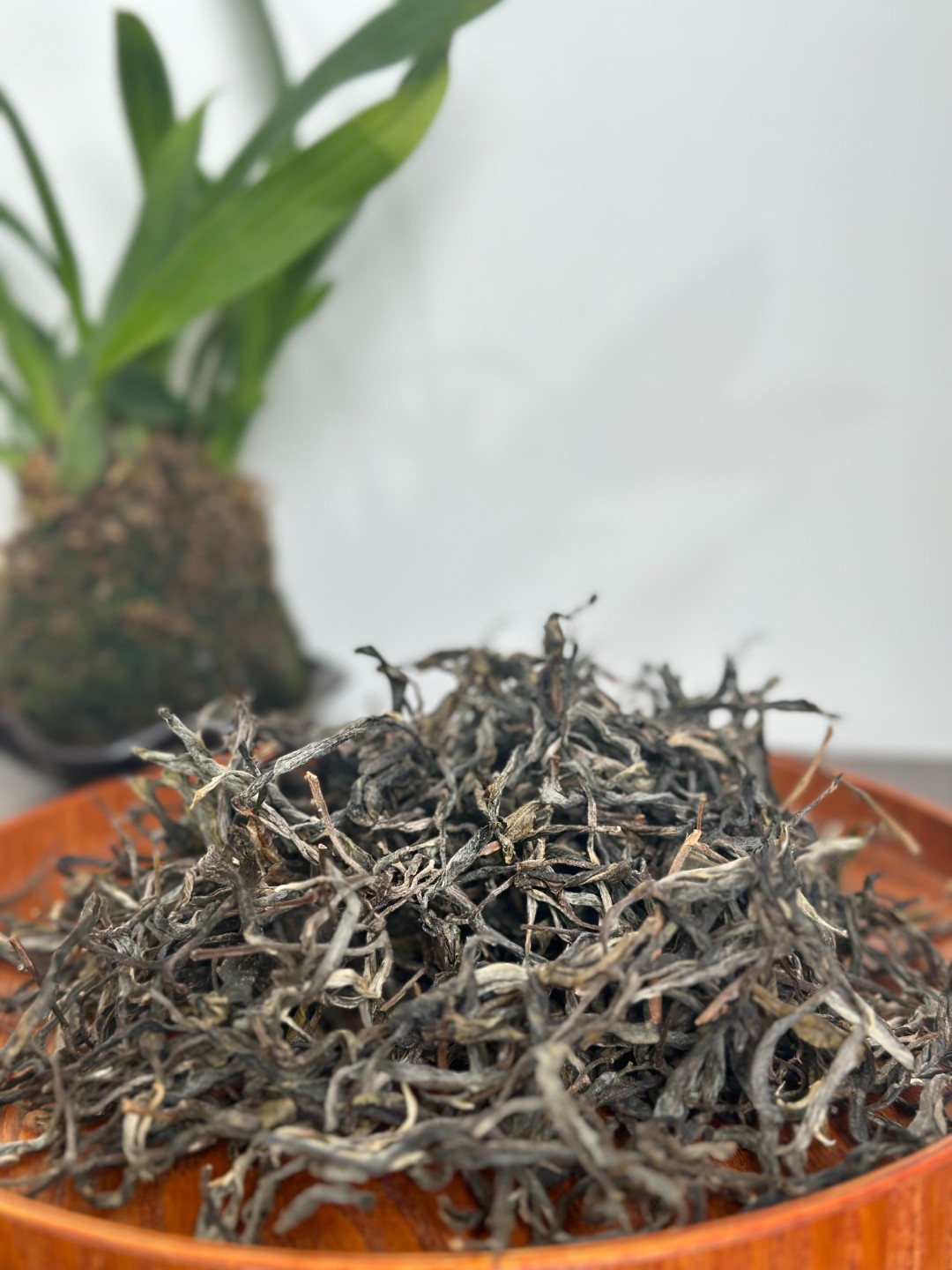 2025年帕沙犀牛塘老树高端散生普100g