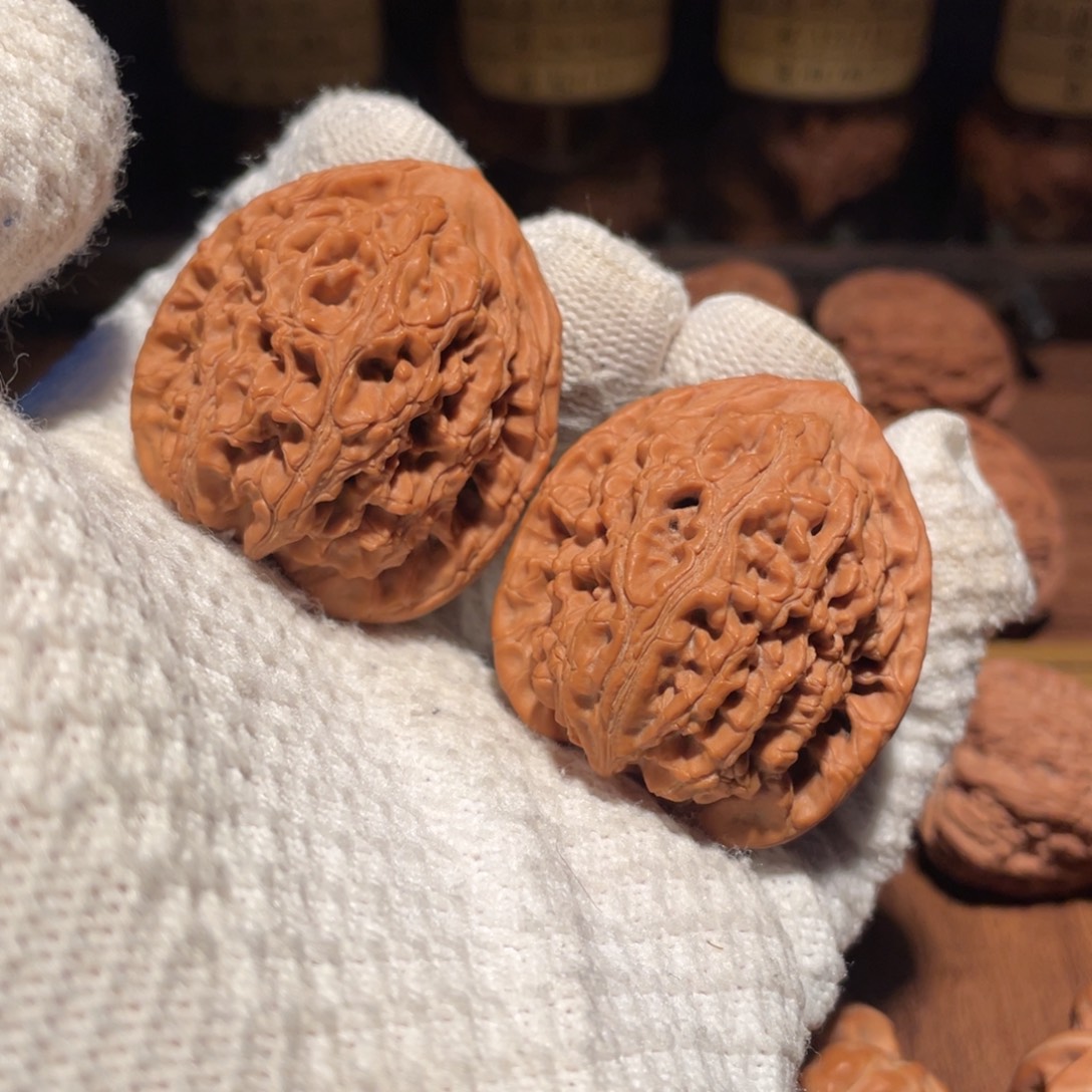 核桃40水龙lllllllll