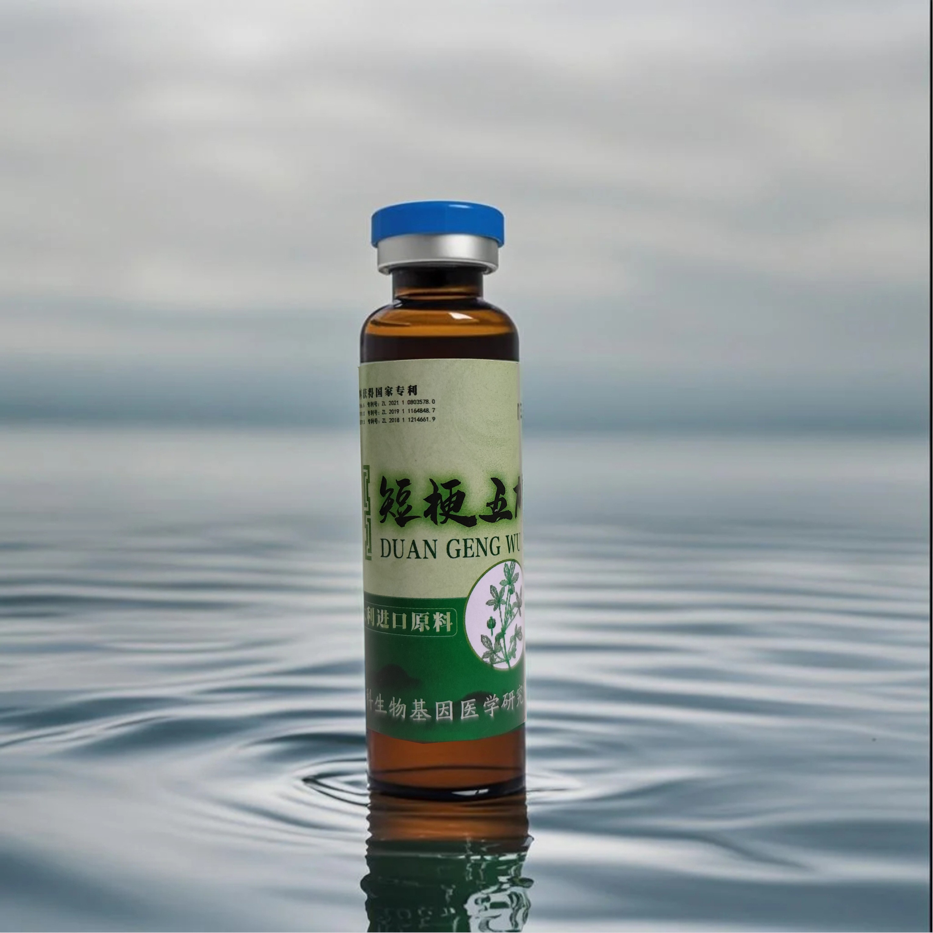 短  梗 五 加 液 TH