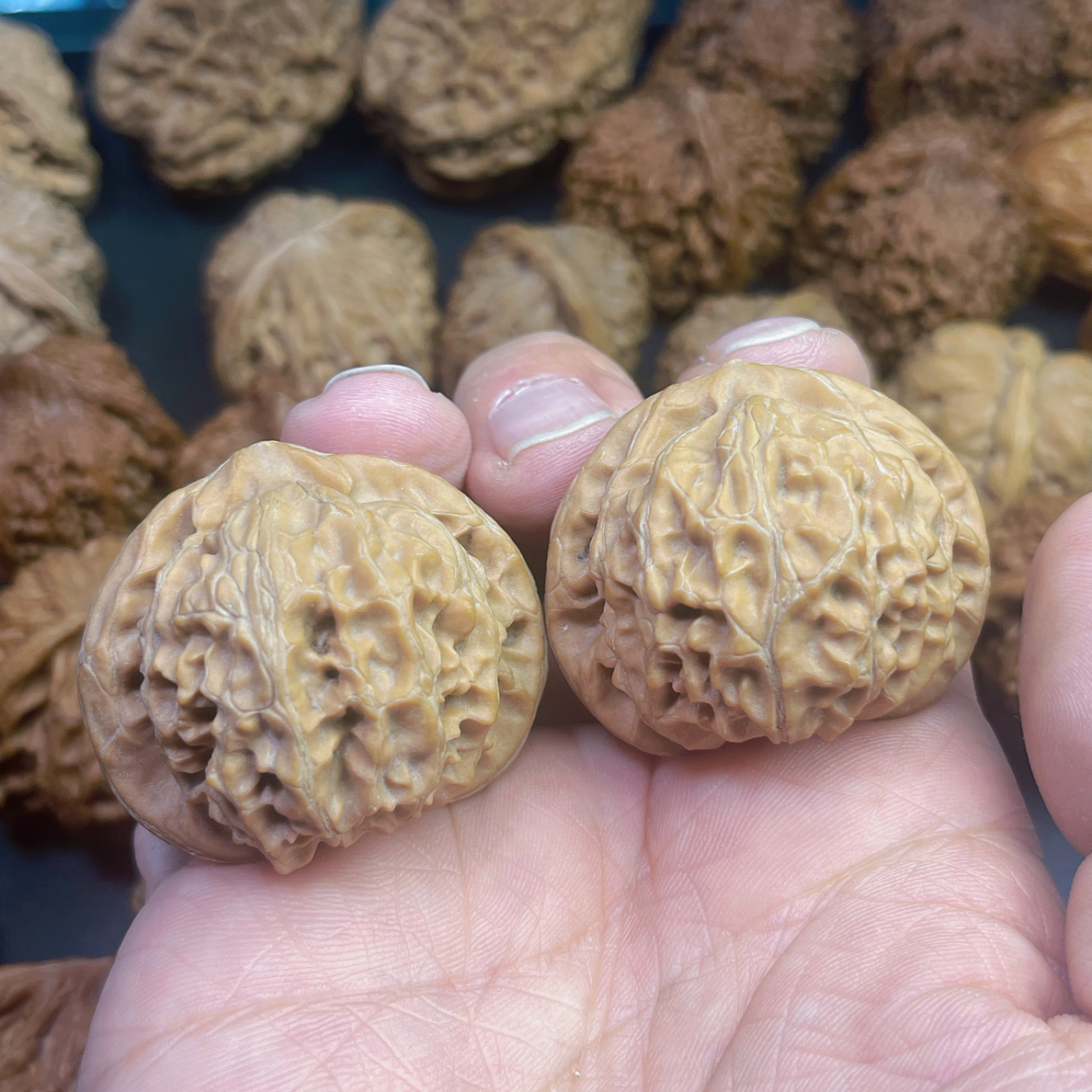 67号42全品无修文玩核桃宫灯