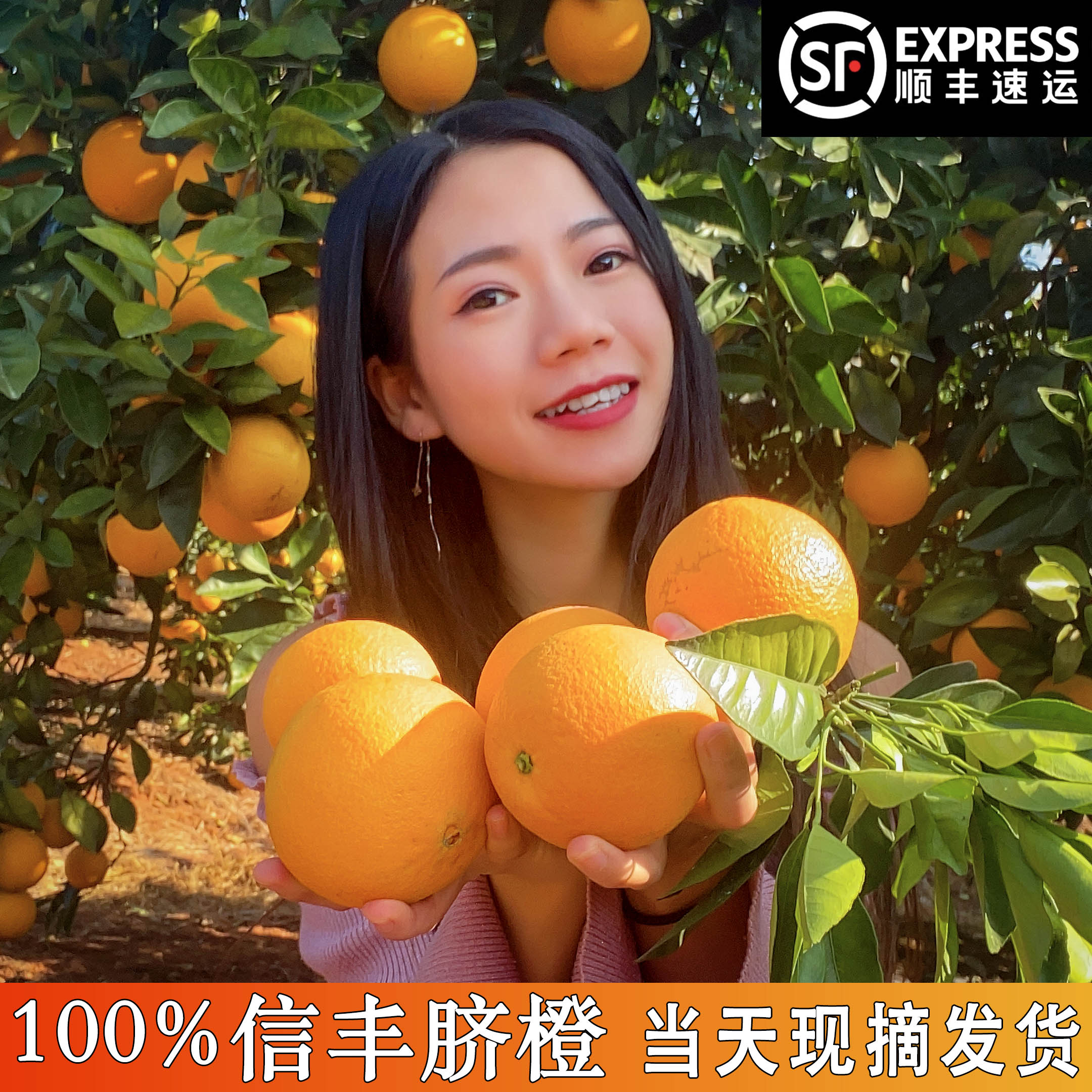 橙家七小姐2025年现摘现发赣南信丰脐橙自家种植产地直发新鲜水果