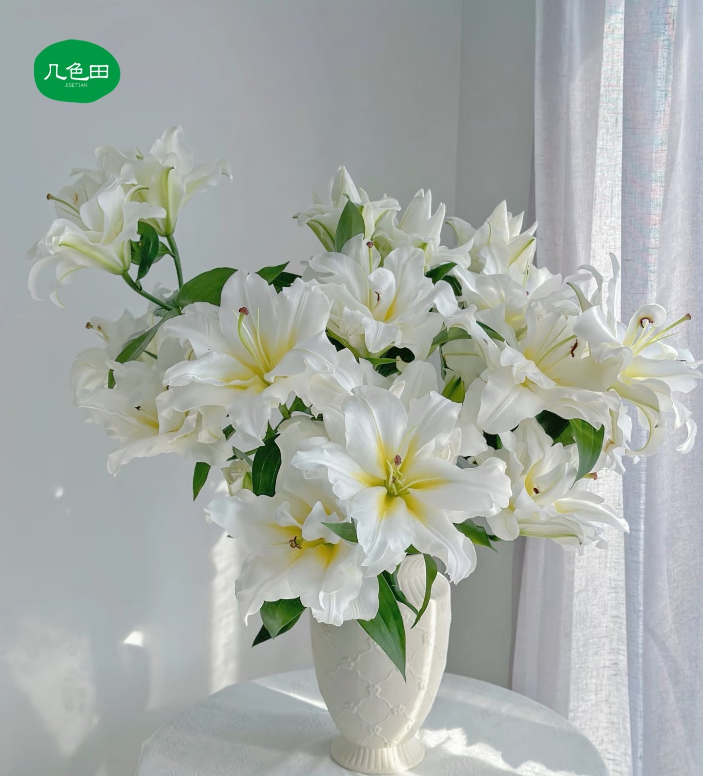 三头暴风雪5枝----重瓣百合云南直发鲜花云南花插花鲜花