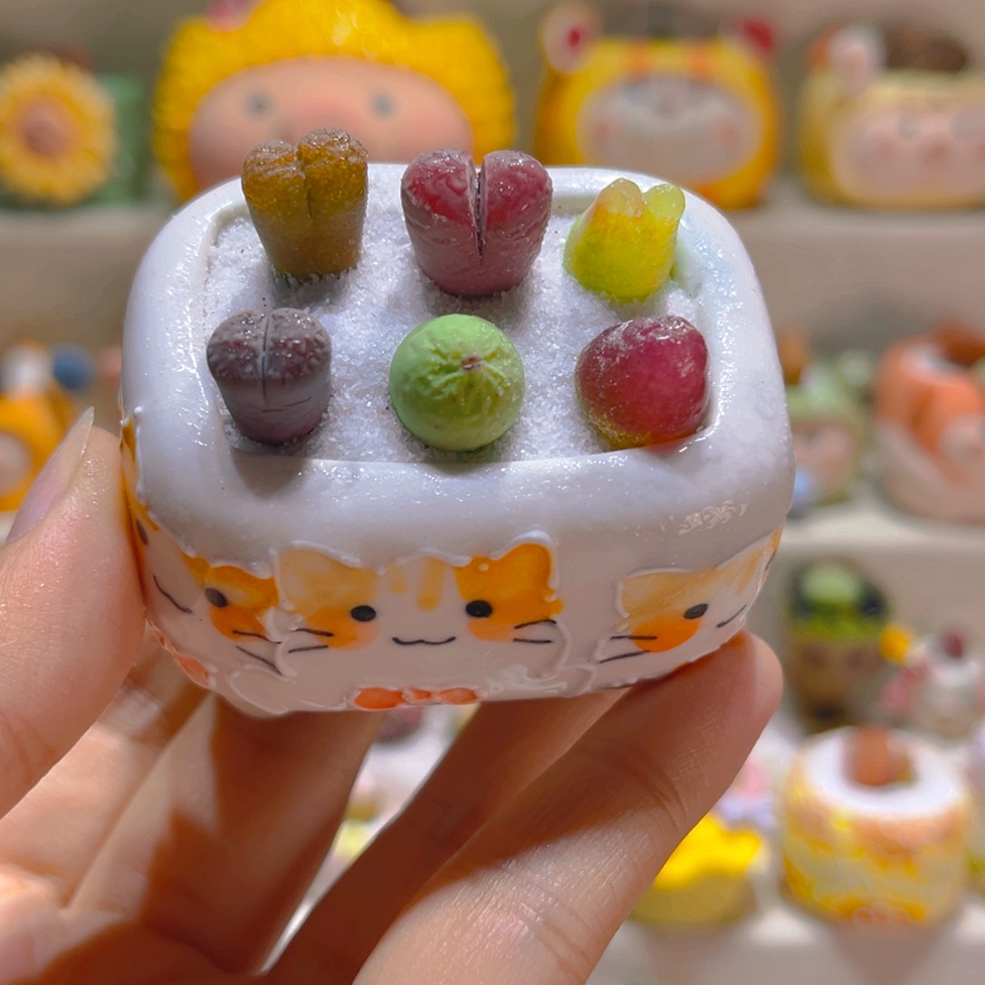 230高端多肉带盆带土手工盆