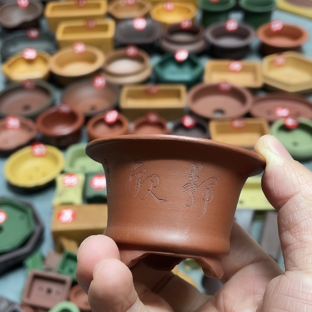 紫砂小盆6*3cmmmmm