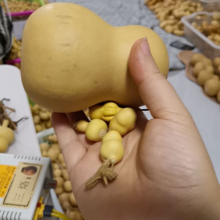 噗***4自然葫芦专拍链接