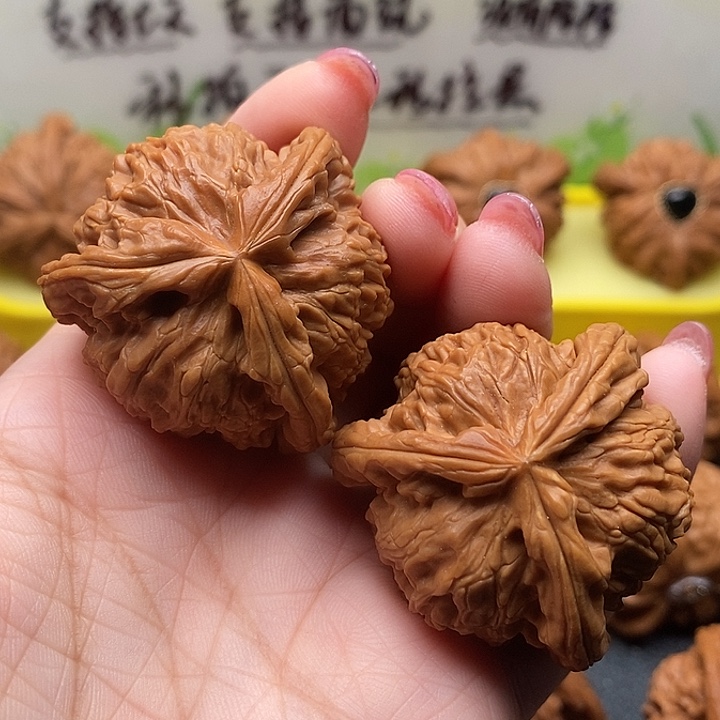 核桃40球奔白狮子