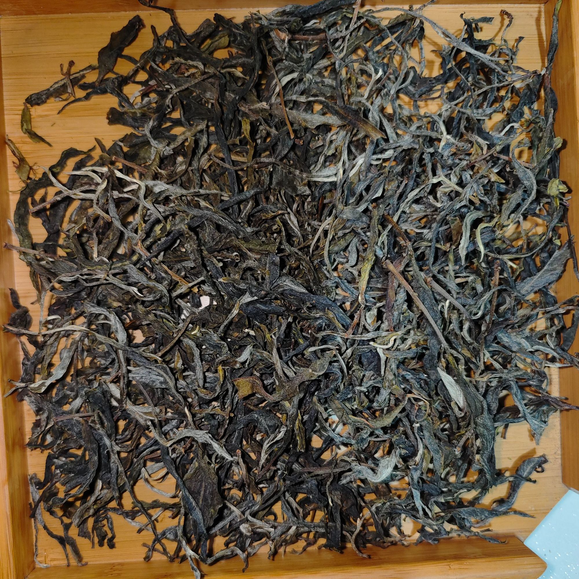 2025年云县大寨（春）普洱古树生茶散茶- 666号