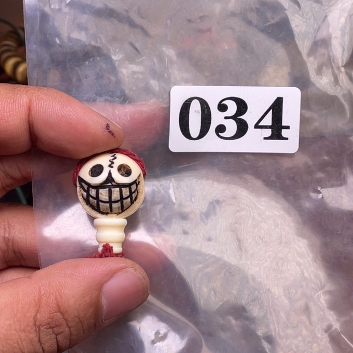 驼骨其他人工养殖