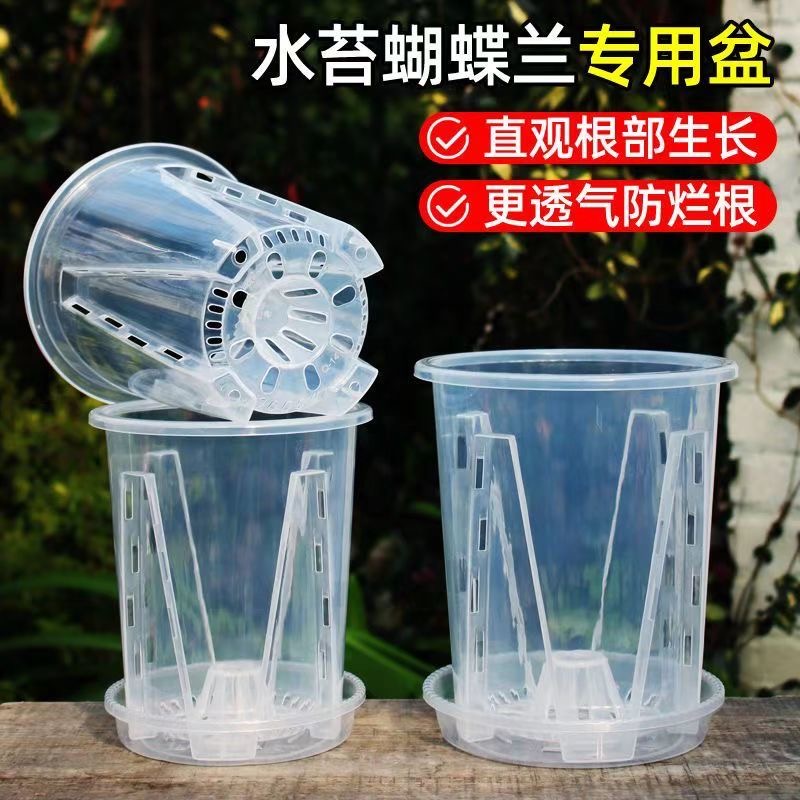 （2个）140透明蝴蝶兰专用花盆>口径14厘米高16