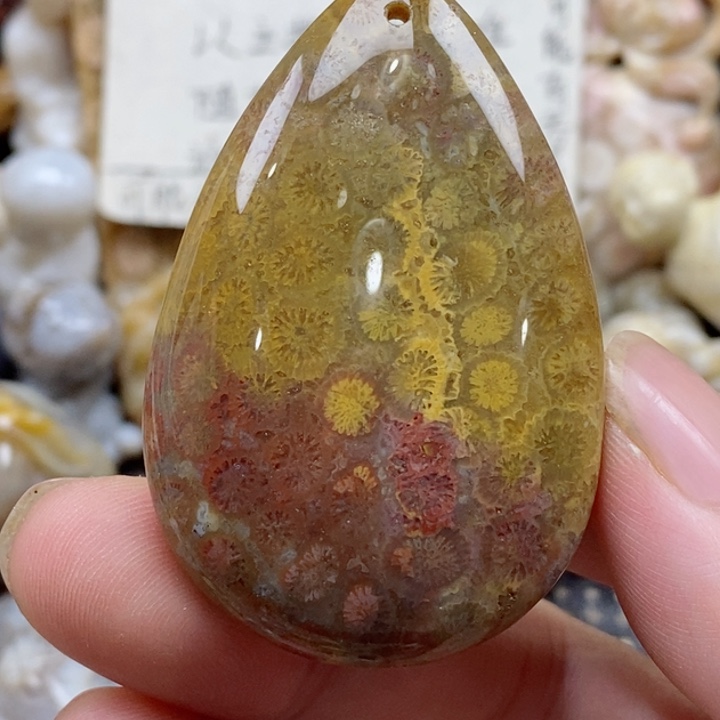 颈饰未镶嵌硅化珊瑚（珊瑚玉）有瑕