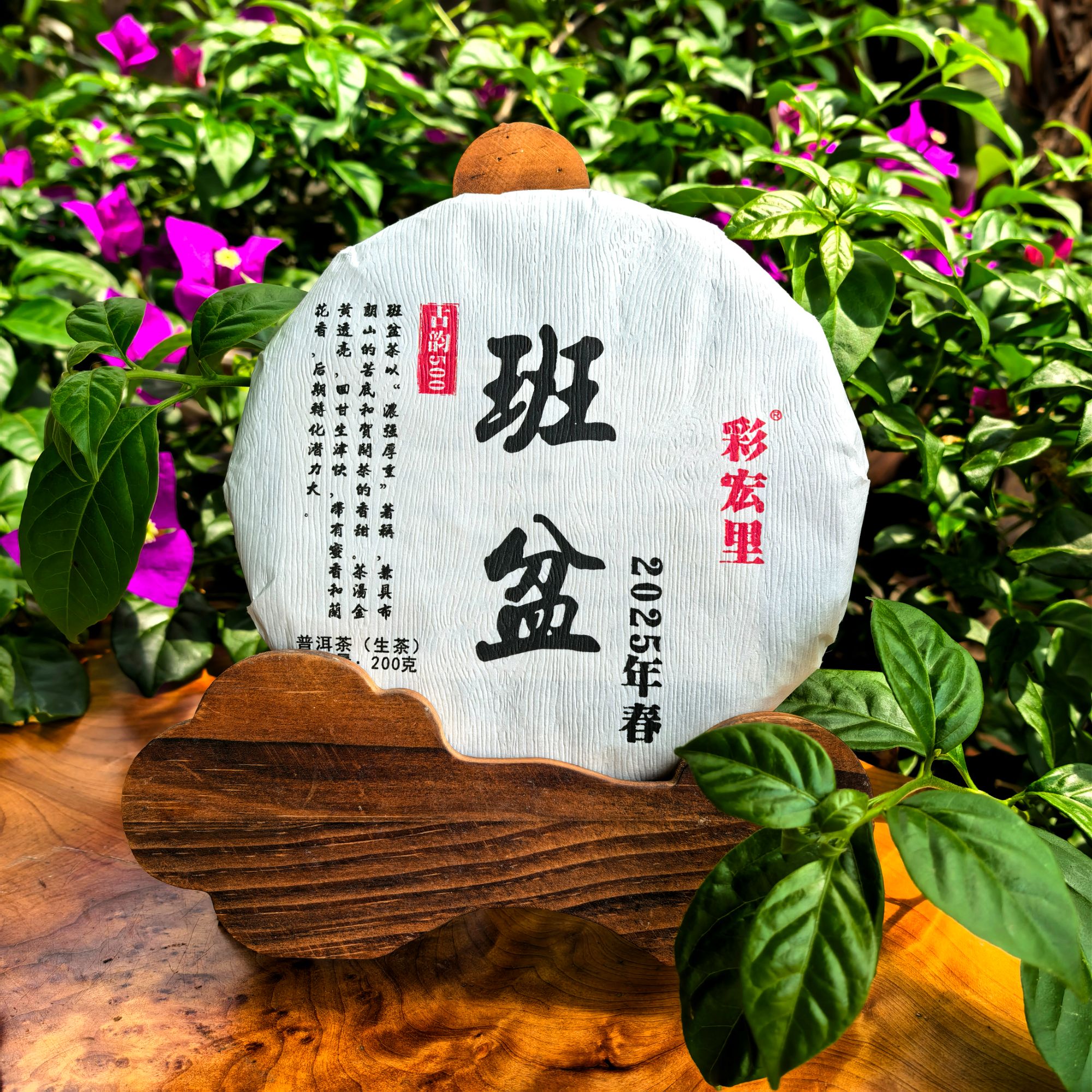 彩宏里班盆生茶2025头春鲜爽浓烈厚实回甘生津迅猛蜜香兰香