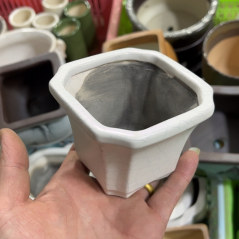 ［所有订单凑满15明天发］8×7