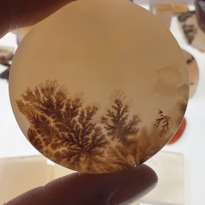 玛瑙/玉髓未镶嵌珠宝半成品