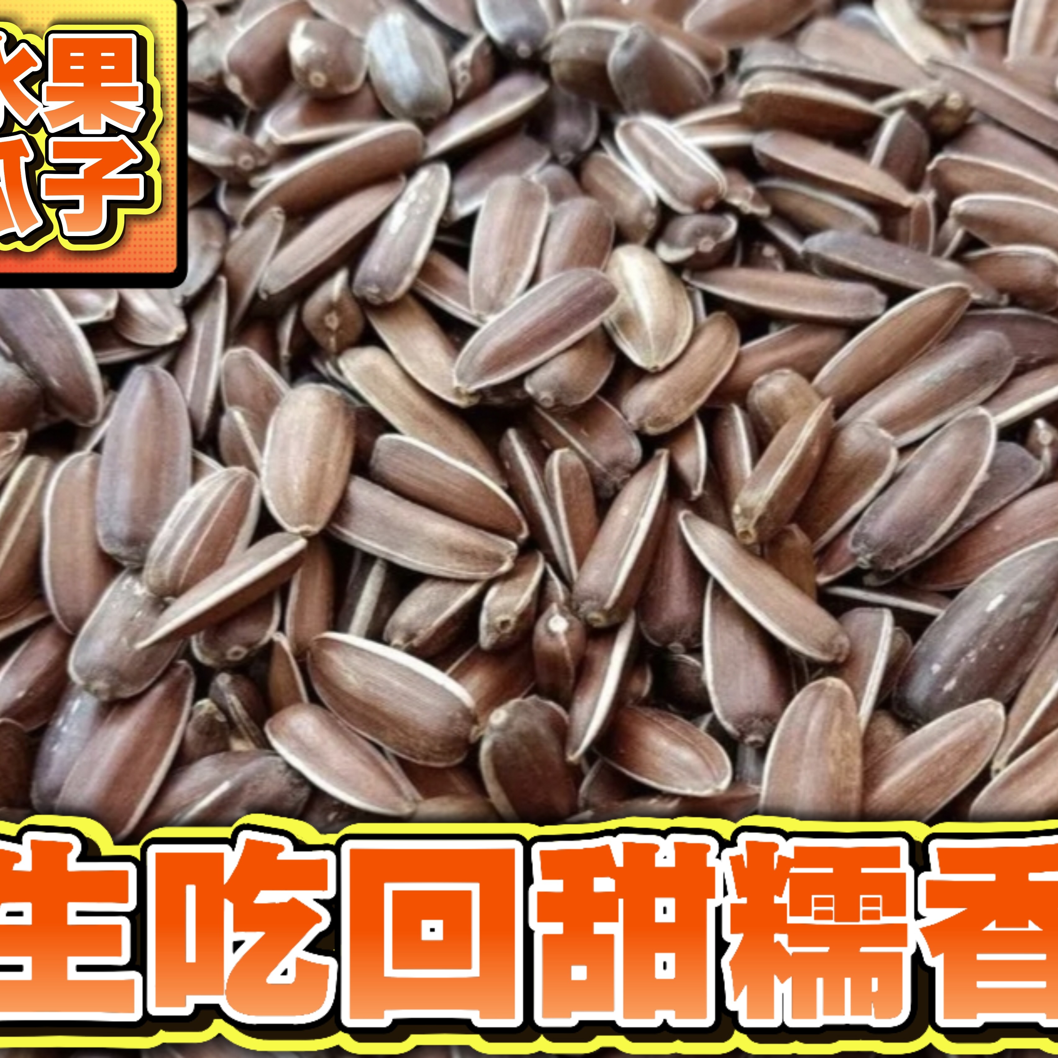 云南山地红皮生瓜子高原天然葵花籽香甜软糯零食无添加无色素