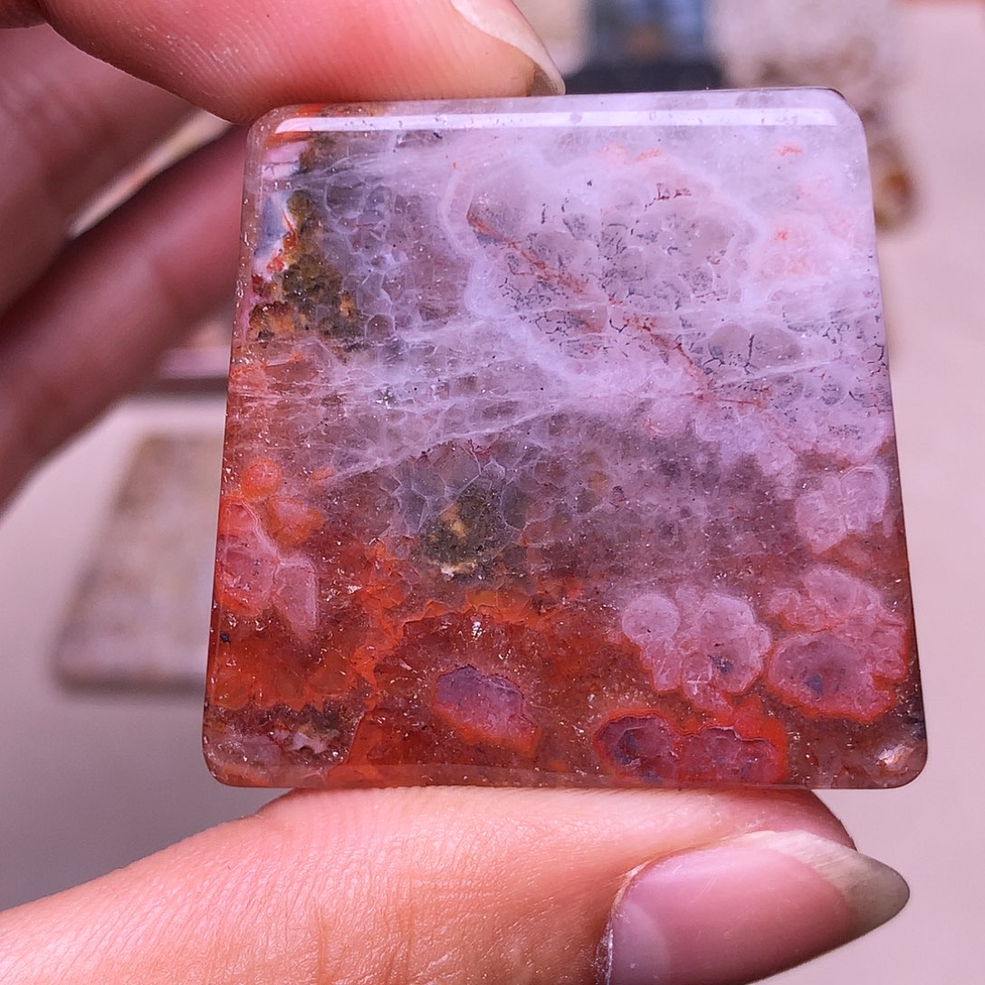 终***悔硅化玉合金珊瑚玉