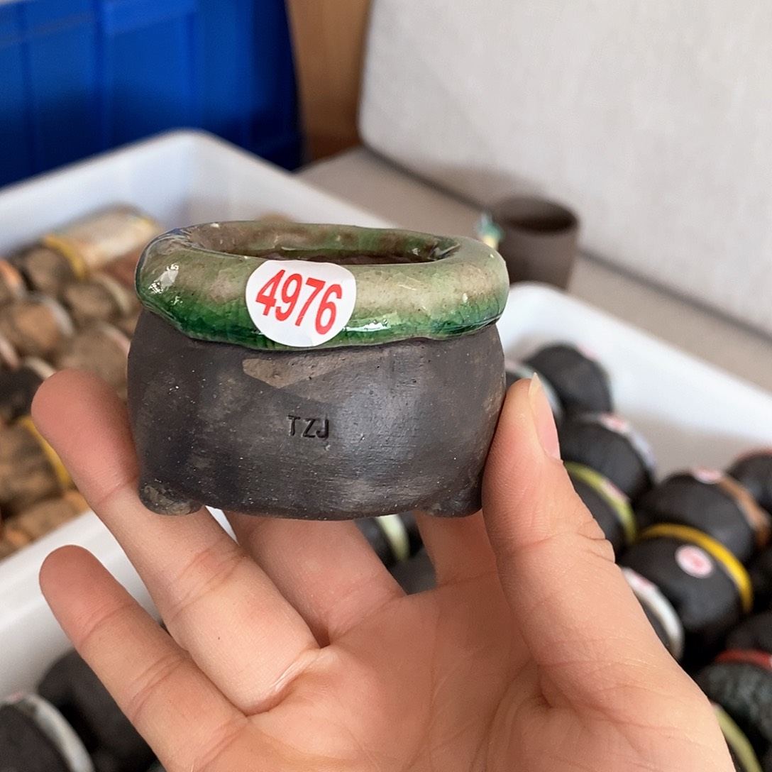 红陶拍5送一个小