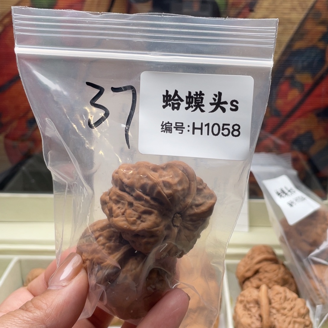 热***海木质类蛙蛙蛙蛙蛙