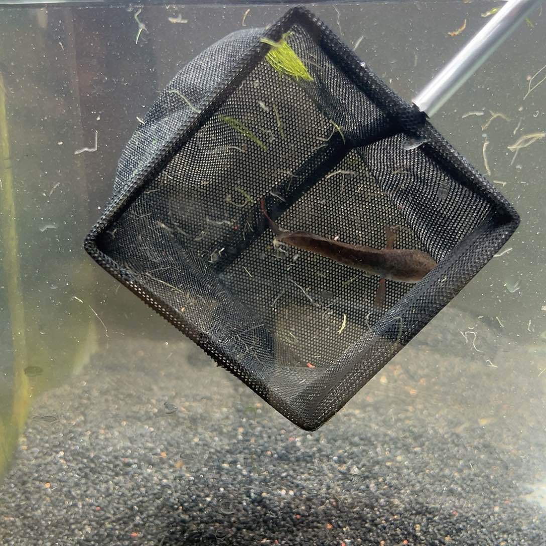 酒红111222333444555