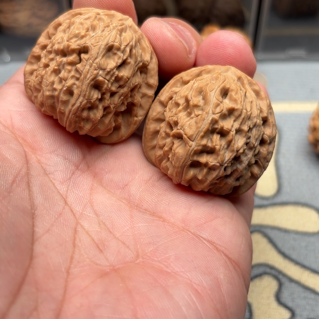 文玩核桃把件白狮子