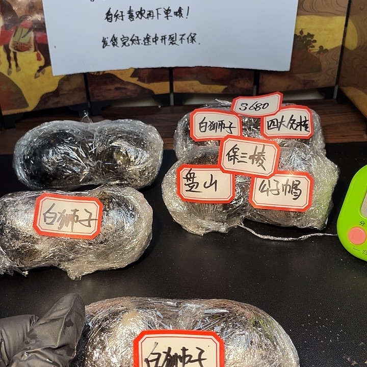 ****丶白衣白衣白衣白衣白衣