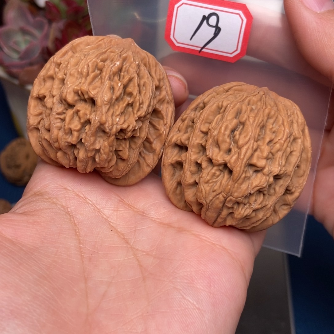 文玩核桃吊坠19号 狮虎兽