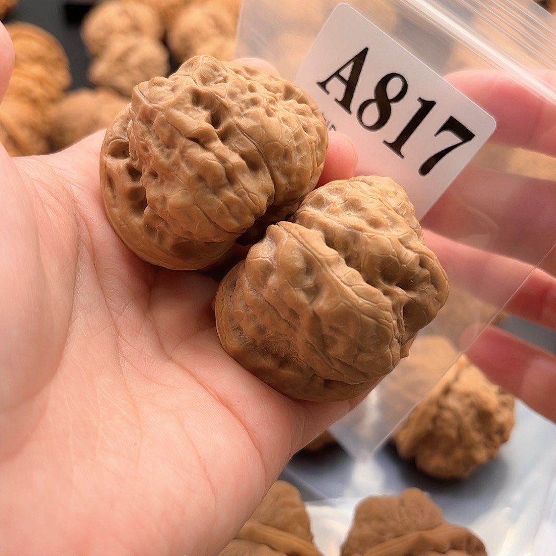 锋***舟文玩核桃把件蛙蛙福利45度46