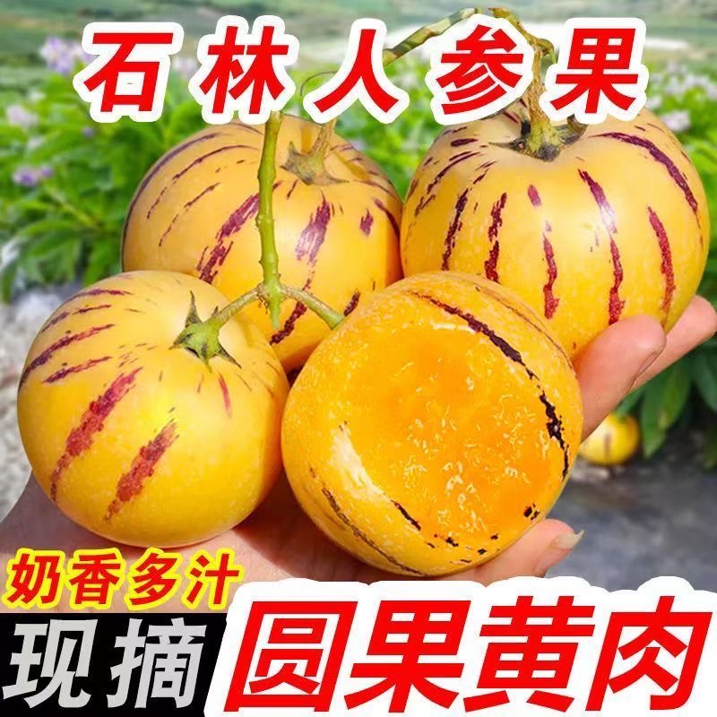 AZ【树上熟】云南石林果5斤装树上熟新鲜黄肉清甜多汁当季水果