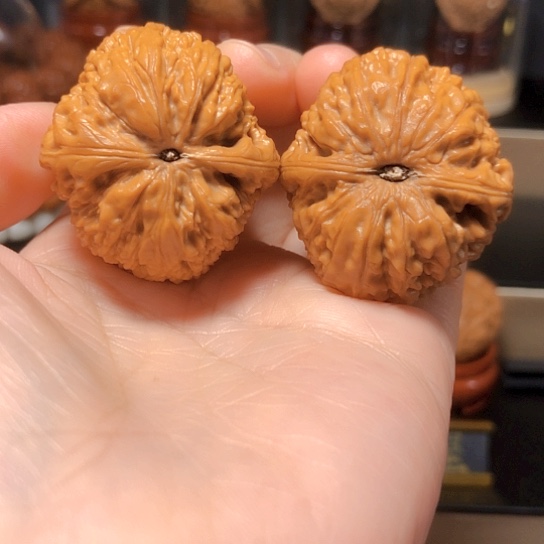 Q*松野生小众：滚石39尺