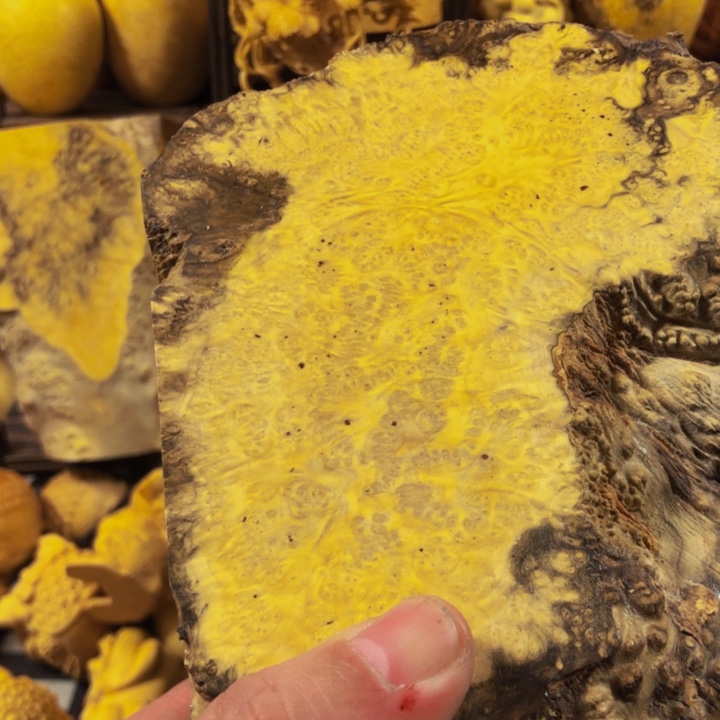 专***李木附近努力努力奋斗