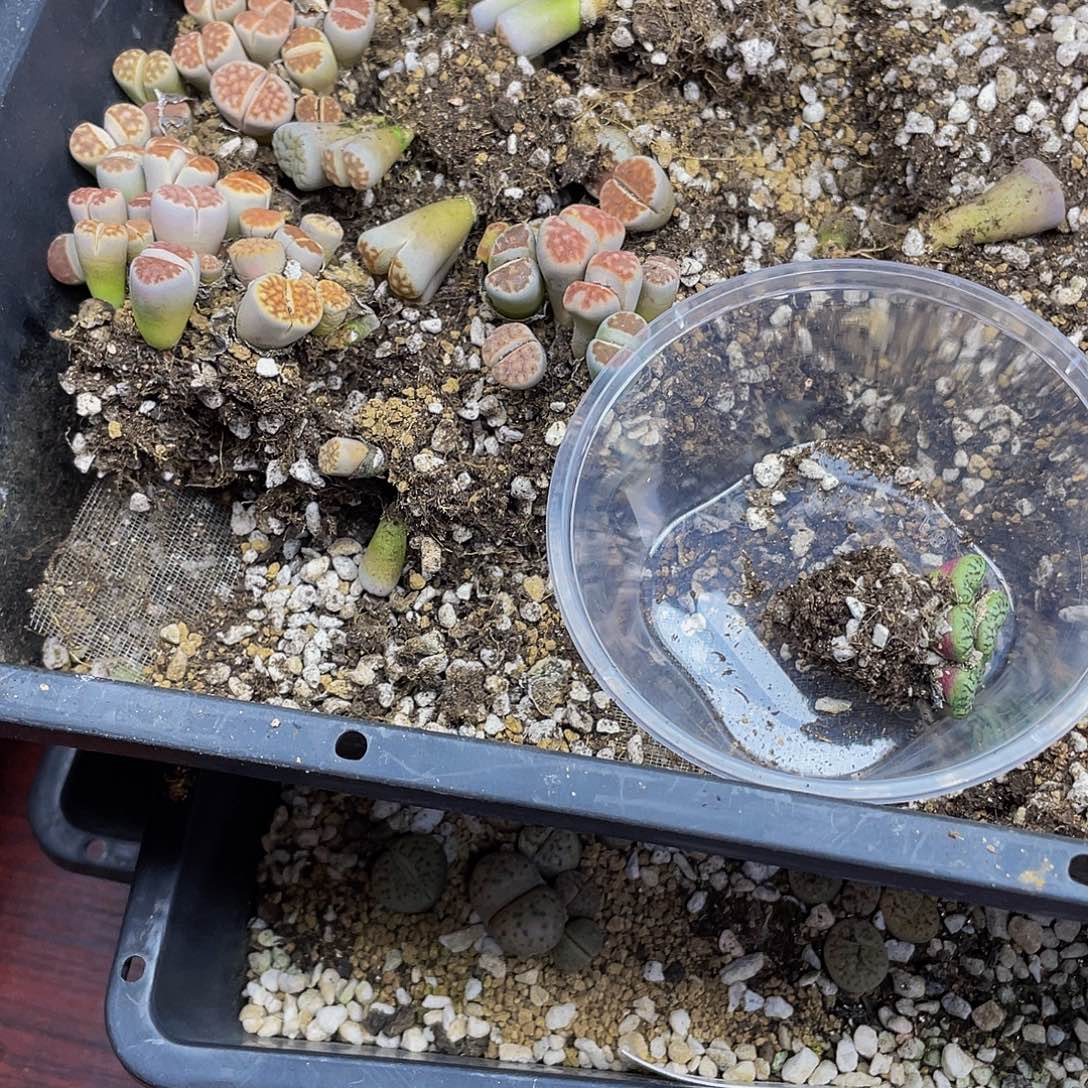 23600000 花花花去酒吧