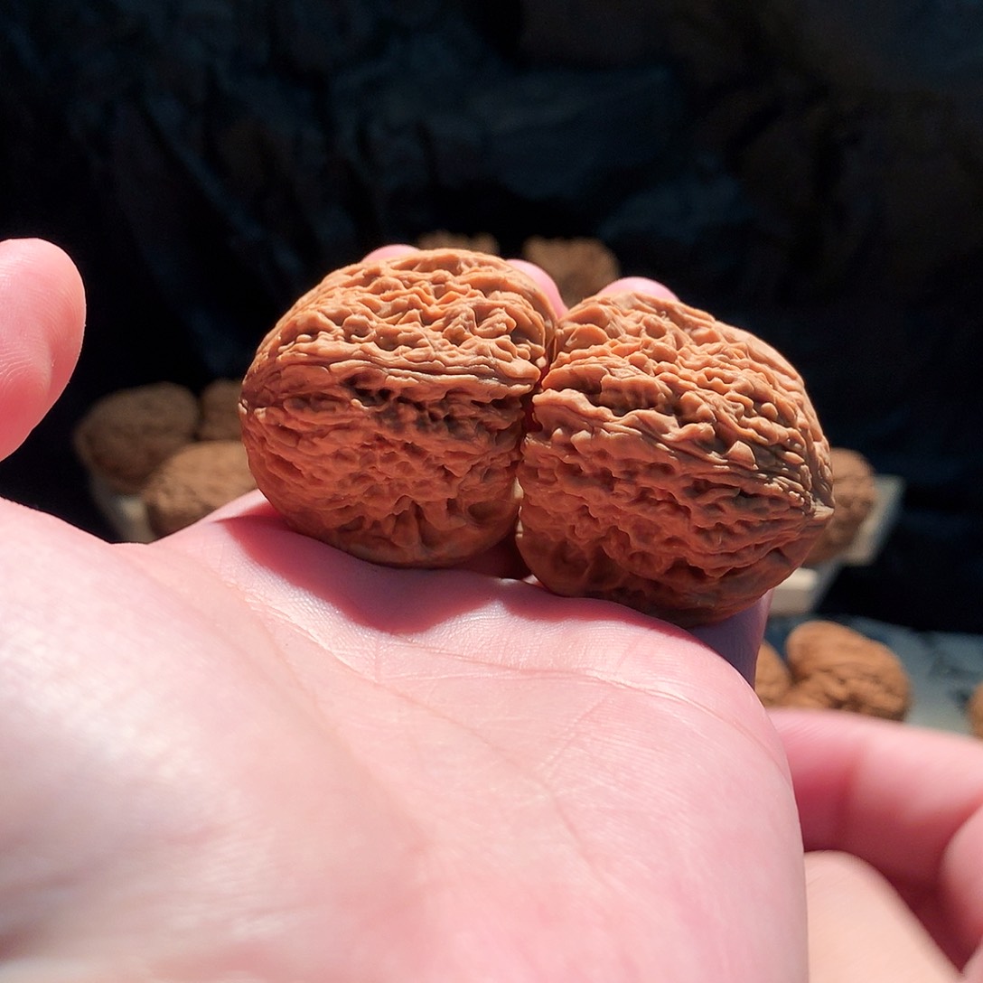 把件文玩核桃明**月40南疆